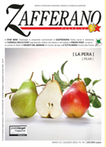 Campione gratuito della rivista culinaria “Zafferano Magazine”